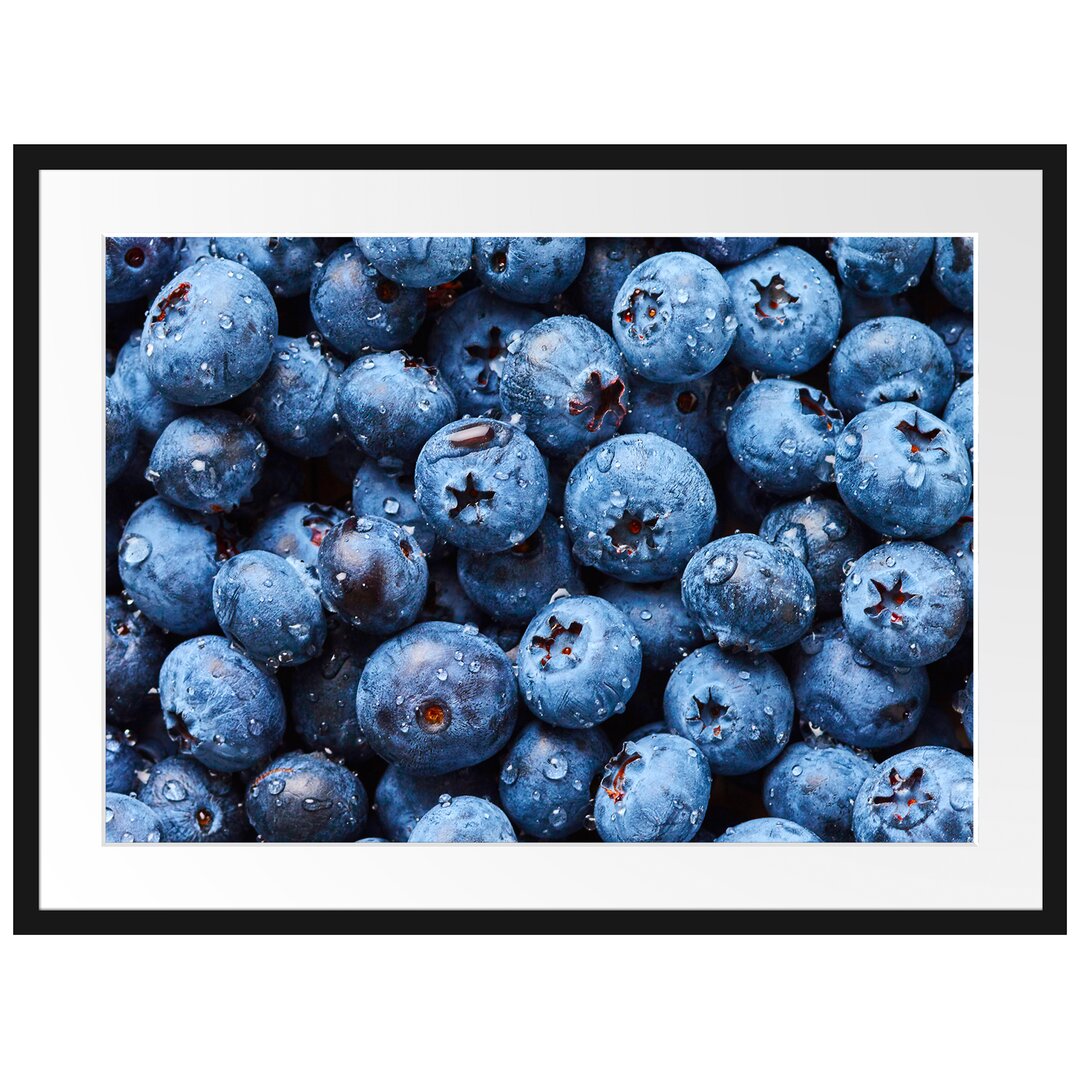 Gerahmtes Poster Blaubeeren mit Wassertropfen