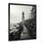 Black Picture Framed