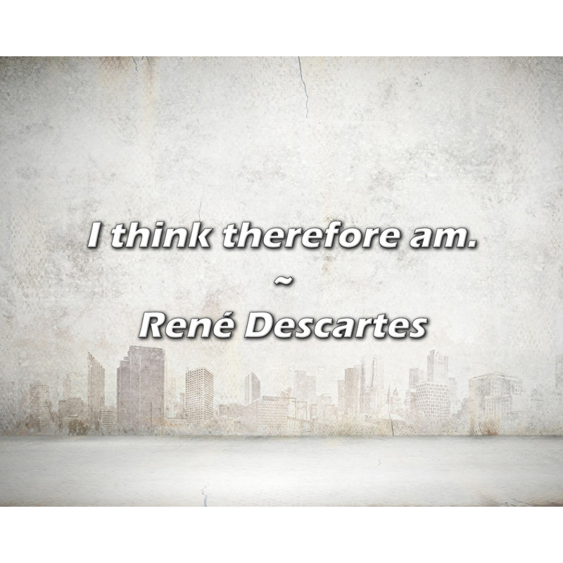 Citation artistique «Je pense donc que je suis». Toile tendue par R. Descartes, H 24 po x l 17 po