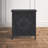 Froelich 2-Door Rectangle Black Accent Cabinet 