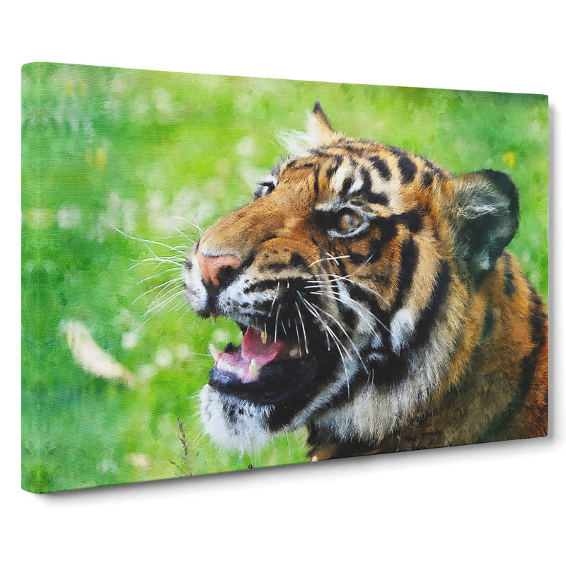 Tiger Vol.1 - Wrapped Canvas, 50cm H x 76cm W x 3cm D