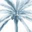 Palm Palms I Print by Barclay Butera-43326498-63368011