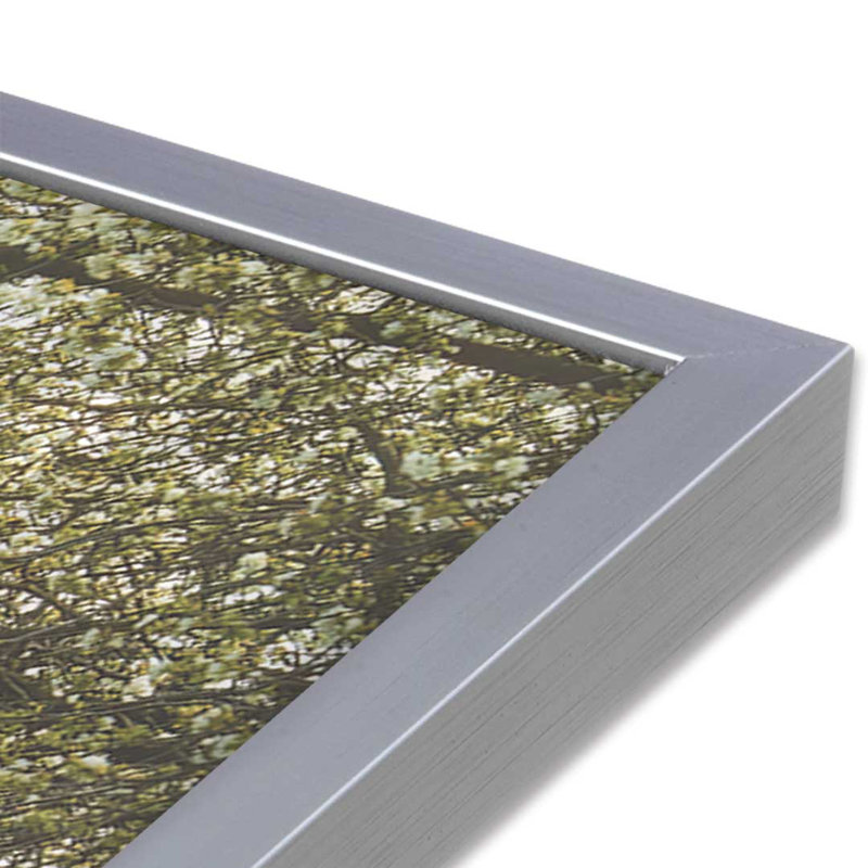 «Spring in Bloom» par Martin Podt, reproduction d'art, Argent, L 32 po x H 48 po, Impression encadrée