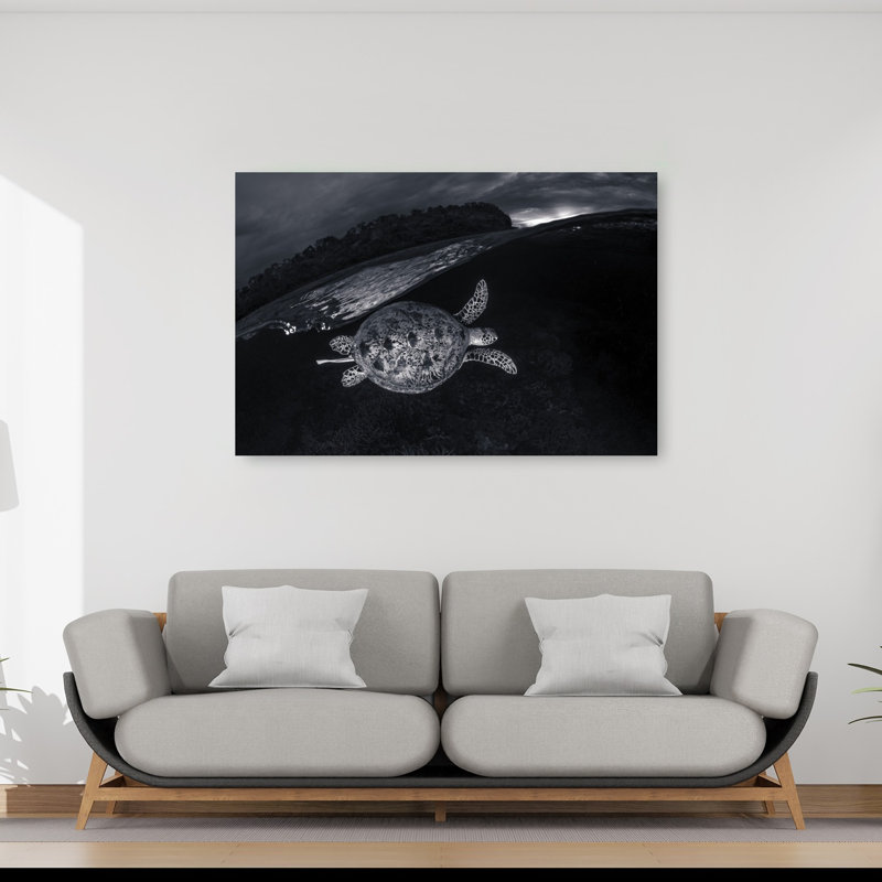 Dark Ocean Turtle Dramatic Peaceful Serene Turtle Coastal Nature Wall Art Print 1 Piece Wrapped Canvas Wall Art