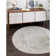 Shaundrelle Oriental Indoor Rug