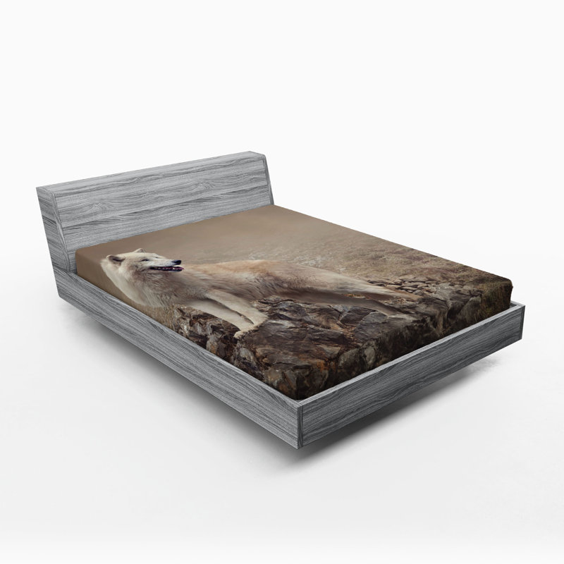 Ensemble de 2 draps-housses Ambesonne