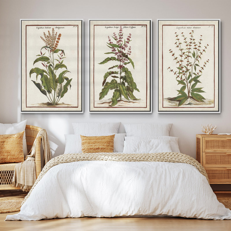 «Munting Botanicals I», ensemble de 3 reproductions encadrées sur toile, Blanc, H 36 po x l 72 po