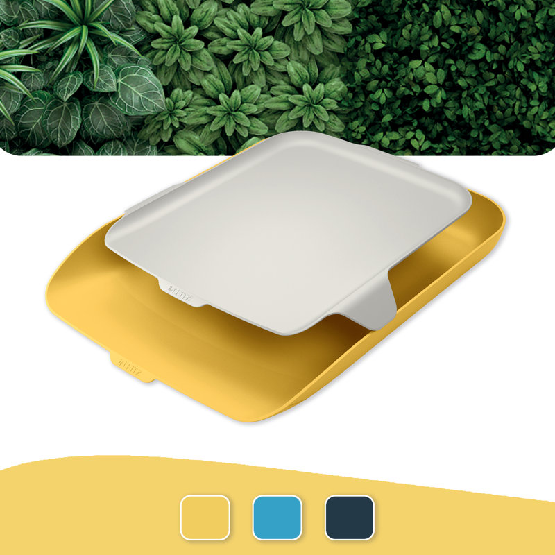 Plastic Desk Organiser