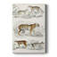 Journal of Natural History I - peinture sur toile tendue-2087163745