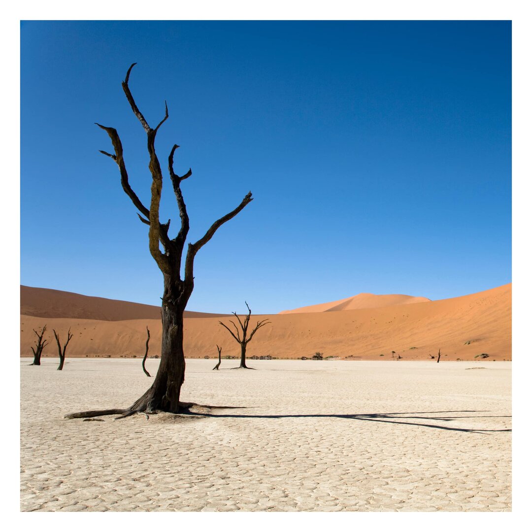 Matt Fototapete Das Sossusvlei in Namibia 2,4 m x 240 cm