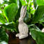 Animals Statue