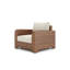 Nico Outdoor Lounge Chair