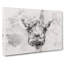 Wonderful Giraffe - Wrapped Canvas-56662865