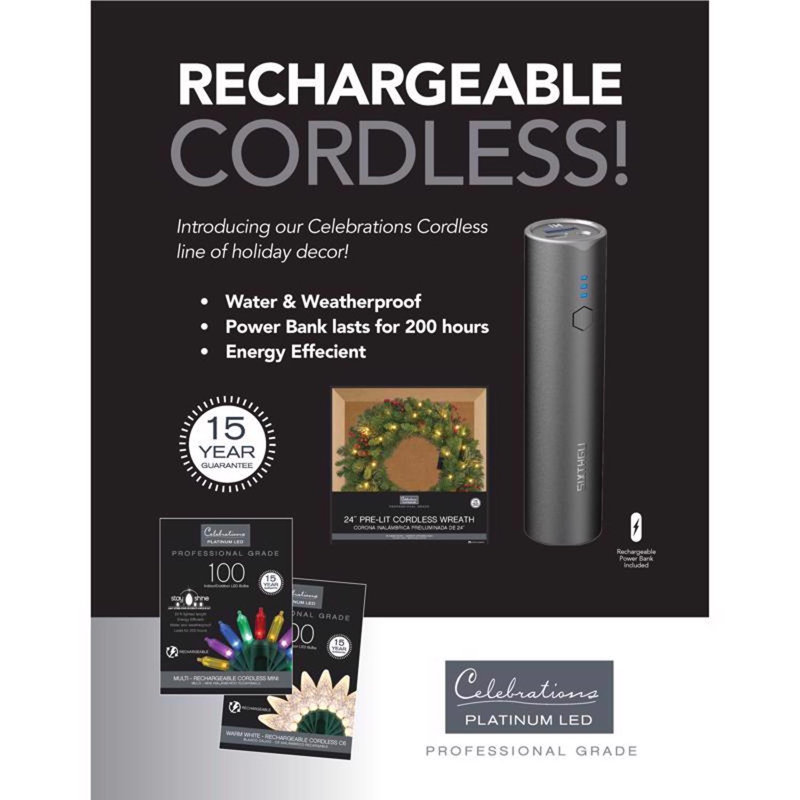 Celebrations Platinum LED T5 Multicolored 50 ct String Smart-Enabled Christmas Lights 16.3 ft.