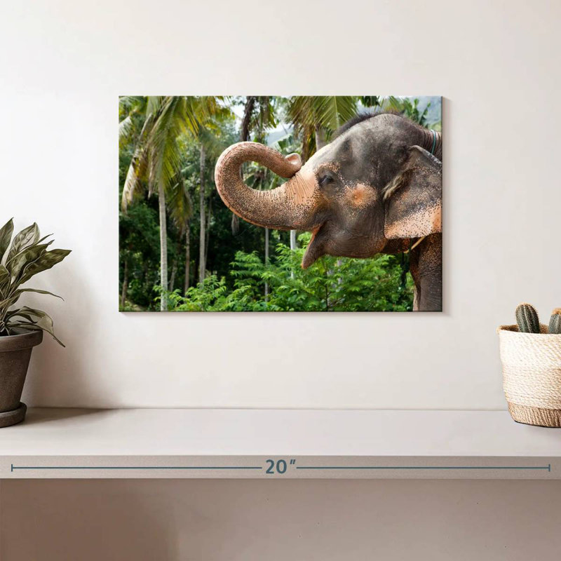 Brampt Smiling Asian Elephant, 8" H x 12" W