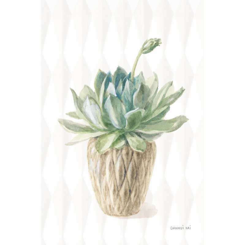 Desert Greenhouse XV by Danhui Nai - Wrapped Canvas Painting, 46cm H x 30cm W x 3.8cm D