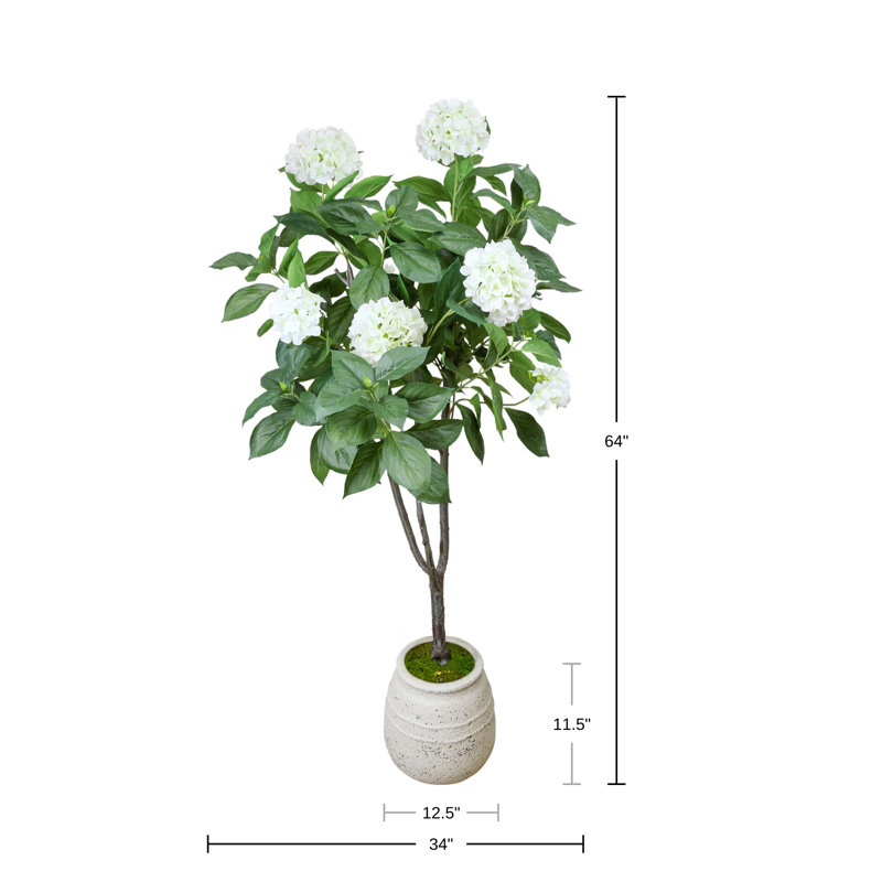 Hortensia dans un pot en pierre décoratif
