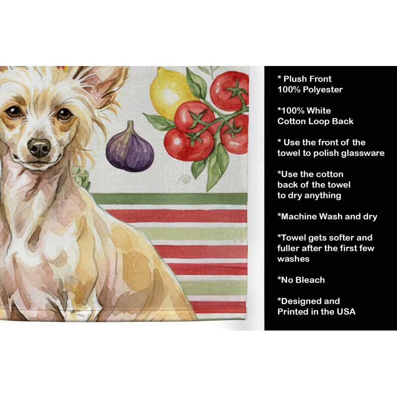 Torchon sans poils Palomino, Hairless Palomino Chinese Crested