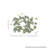 8" English Ivy Candle Ring-517344954