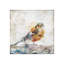 Watercolor Bird I Print by Zoey Riley-26706597-26706596