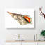 Sea Trumpet Shell by George Shaw - Wrapped Canvas-55329483