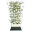 Silk Bamboo Tree in Planter