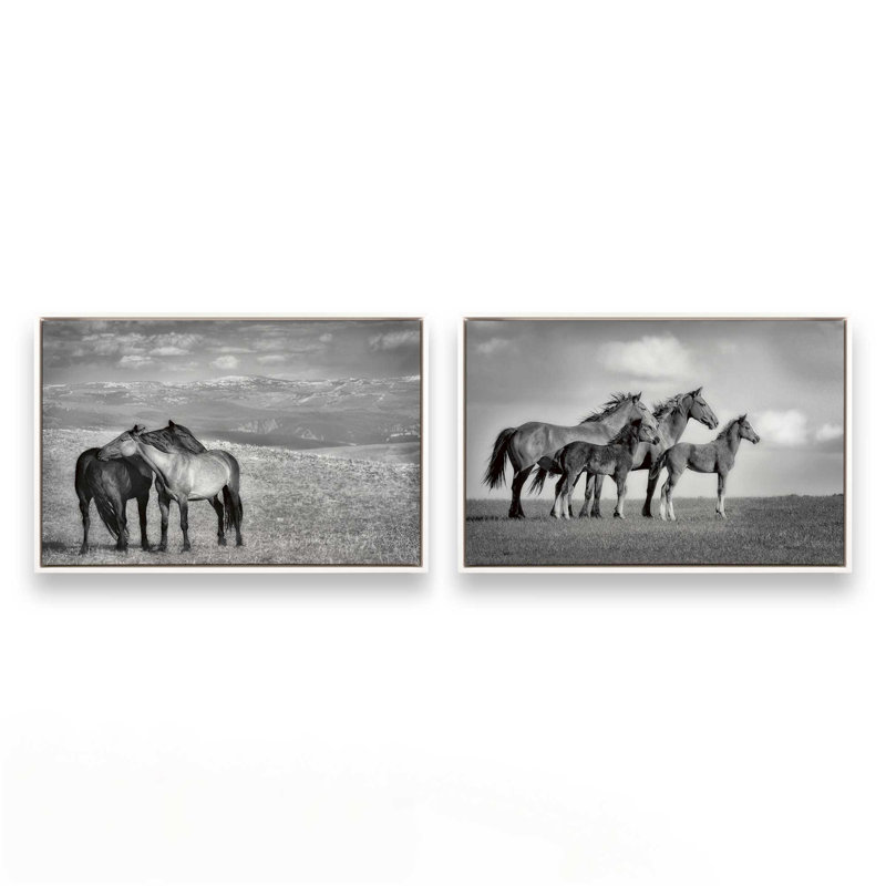 Ensemble de 2 impressions sur toile Free Spirits, Cadre flottant blanc opaque, H 13 po x l 38 po x P 1,75 po