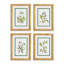 White Floral Study Set