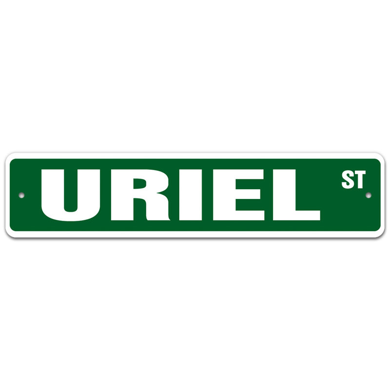 Plaque de rue, H 7 po x l 30 po x P 0,1 po