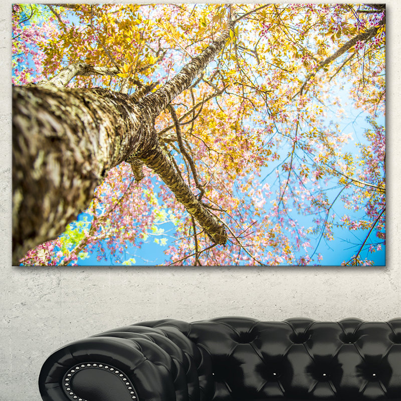 Under Branch of Yellow Cherry Tree - reproduction de photo sur toile tendue, H 30 po x l 40 po x P 1 po
