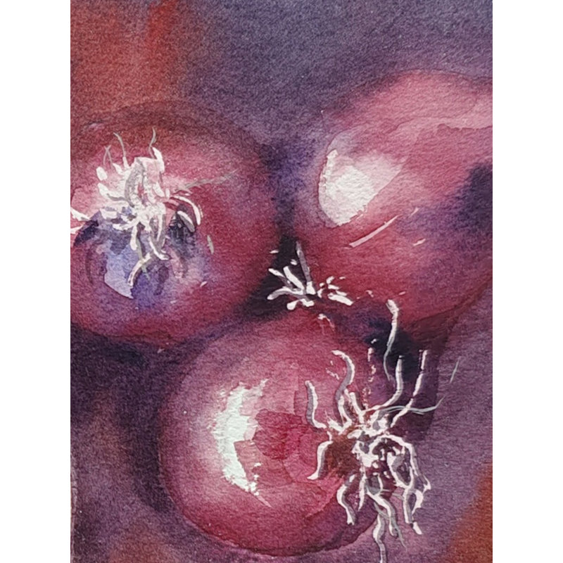 Oignon nature morte | Peinture à l'aquarelle en vrac | Par Achintya Hazra