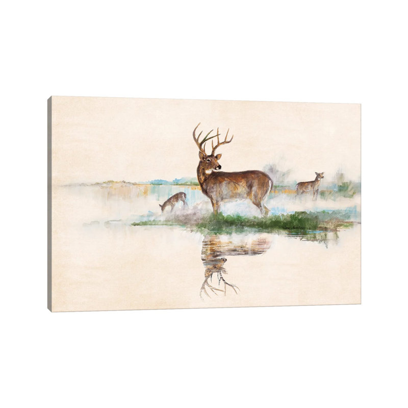 Misty Deer by Ruane Manning - Gallery-Wrapped Canvas Giclée on Canvas, 20.32 cm H x 30.48 cm W, Canvas