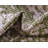 Cowie Green/Gray Indoor/Outdoor Area Rug-158236132