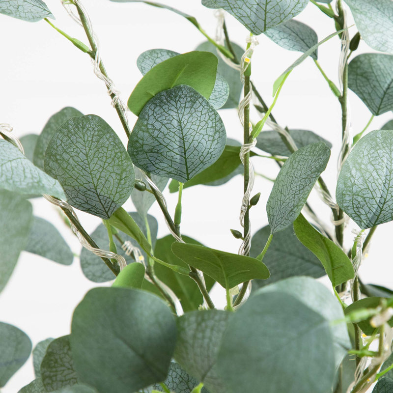 4 pi Eucalyptus artificiel éclairé avec 240 lumières DEL blanc chaud