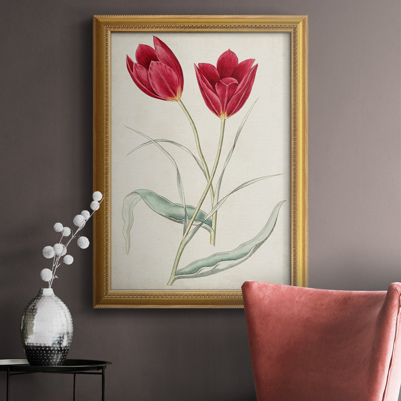 Toile encadrée de qualité supérieure Antique Botanical Collection III - prête à être accrochée, H 27 po x l 18 po x P 2,5 po