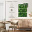 Plante grasse Harnek-108667467