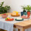 Dinnerware - Service for 4