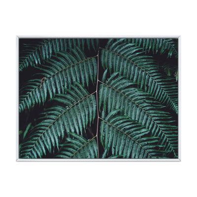 Fougère vert foncé sur fond noir II - reproduction sur toile