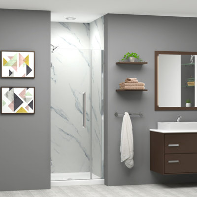 Transolid Elizabeth 30.5-in W x 76-in H Hinged Shower Door with Clear Glass
