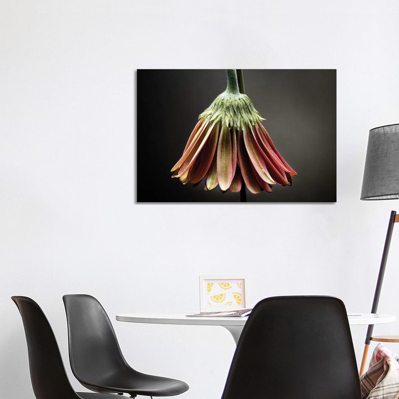 Studio Flowers II by James McLoughlin - Wrapped Canvas Print, 101.6 cm H x 66.04 cm W x 1.91 cm D