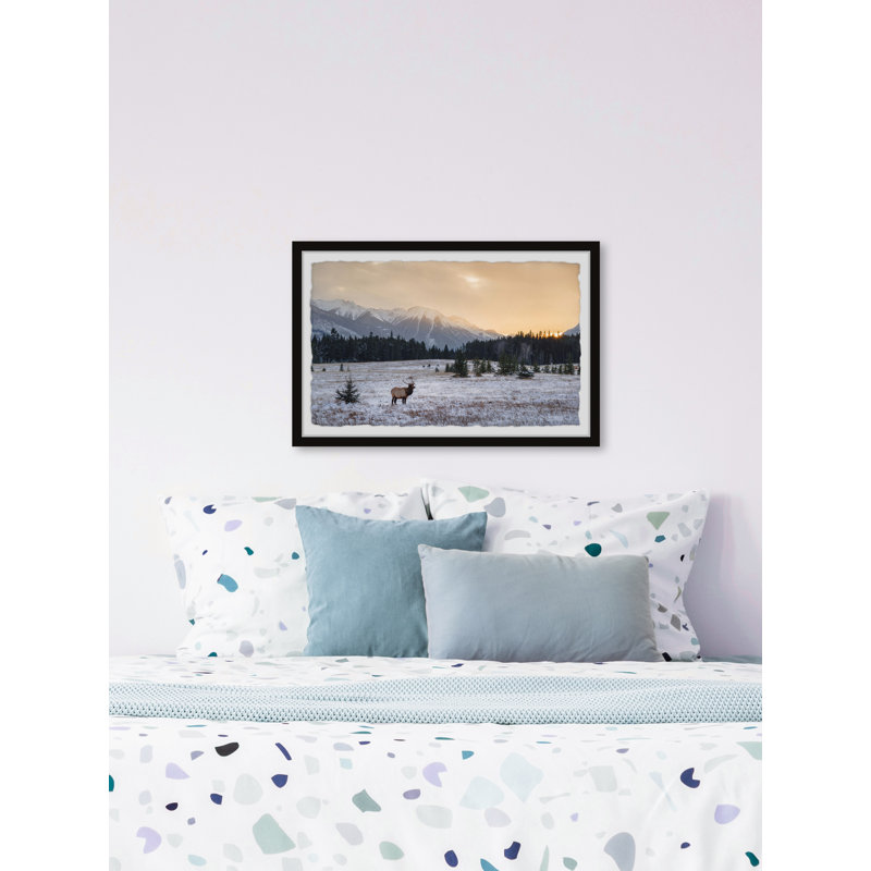 Snowy Winter - Single Picture Frame Print, 38cm H x 45cm W x 3.81cm D