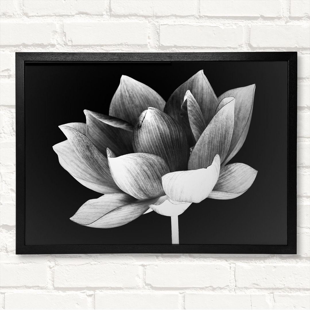 Black And White Flower Beauty - Closed Corner Frame Kunstdrucke auf Holz