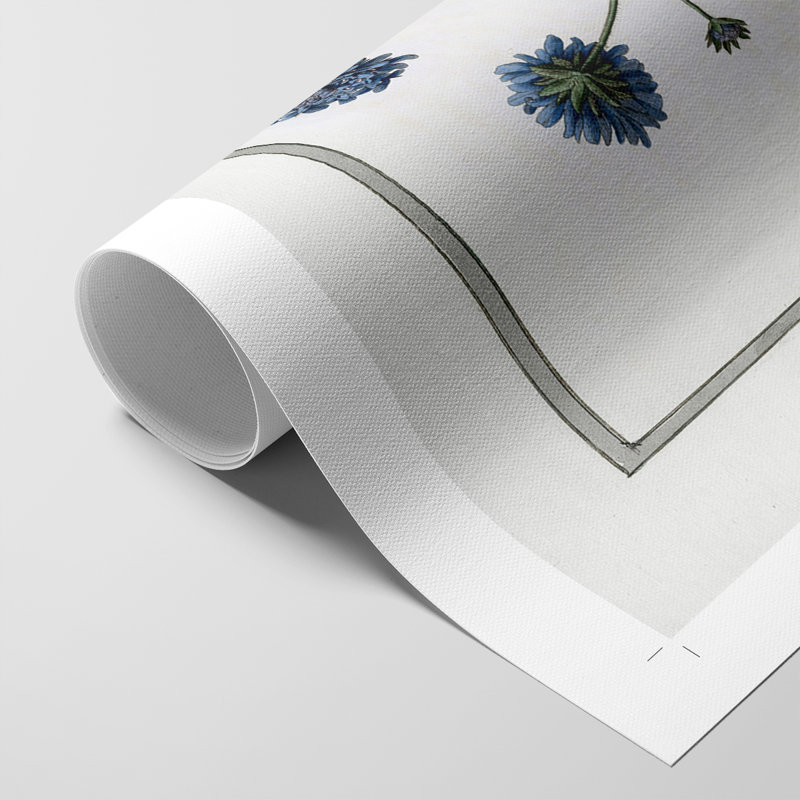 Soft Botanical II - Impression sur toile seulement - NON CADRE, H 36 po x l 24 po