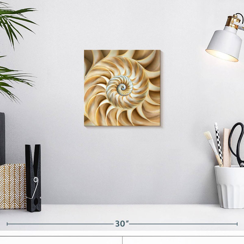 Aletra Nautilus Symmetry, H 10 po x l 10 po