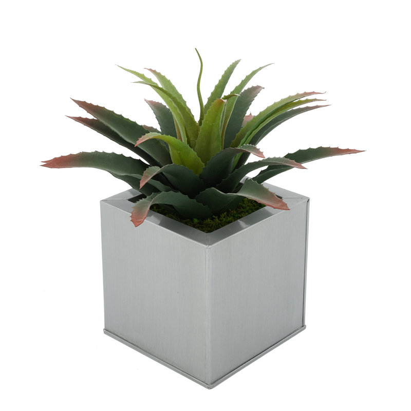 Plante grasse artificielle 7 po en pot, Argent