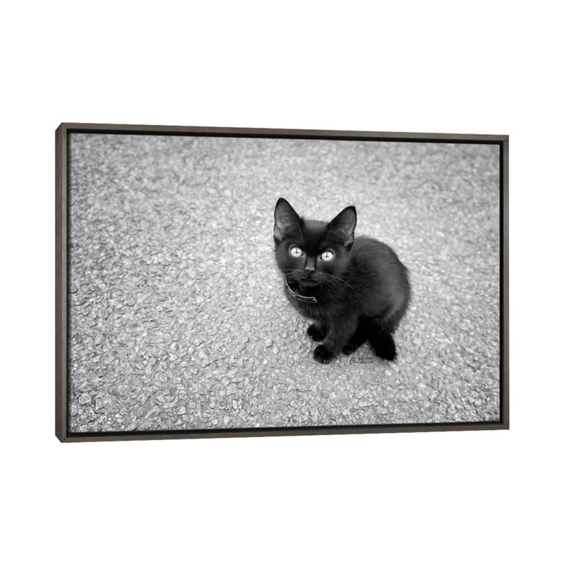 « Just a baby » par Ben Heine-impression d’art graphique, Pas de tapis, H 18 po x l 26 po x P 1,5 po