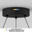 Luminaire suspendu Ivy Bronx Phulkana, moderne, noir mat