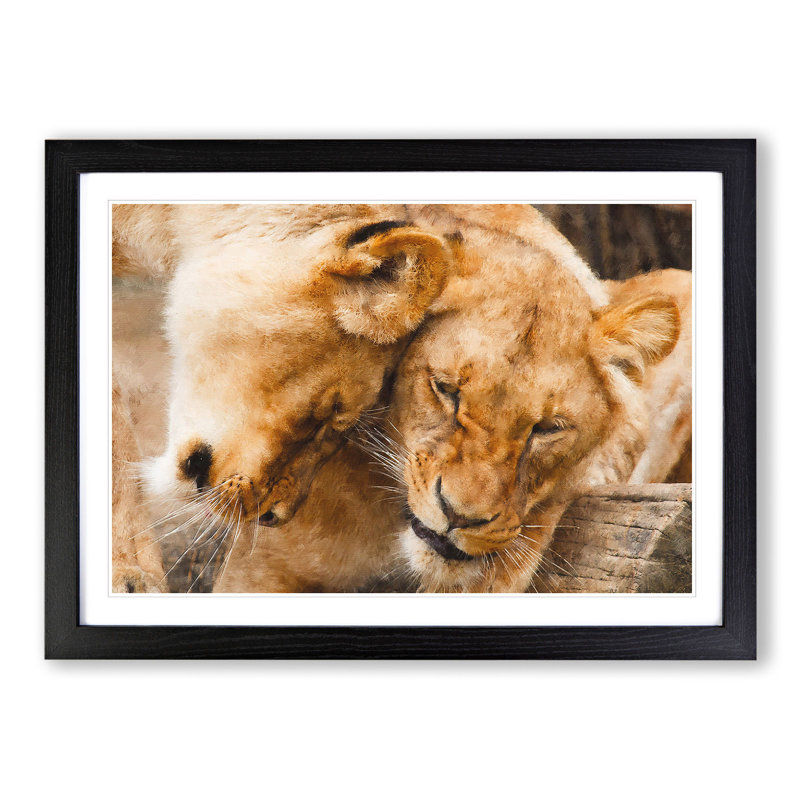 Cuddling Lions - Picture Frame Painting, 48cm H x 65cm W x 2cm D, Black Framed