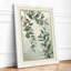 Study in Sage Botanical - Framed Print-414301787-414301780
