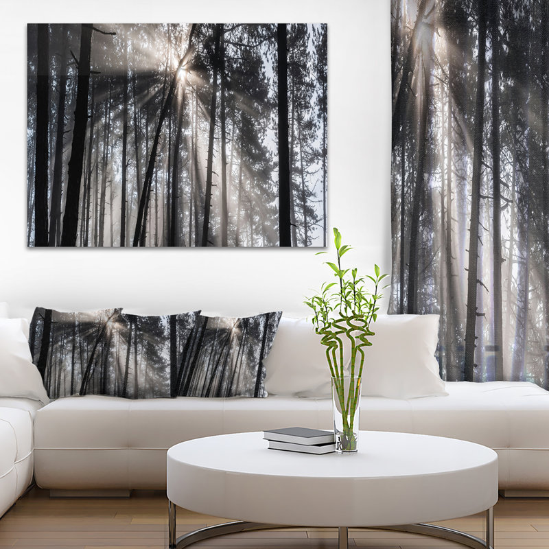 «Sunbeam Through Black White Forest», photographie, Toile tendue, H 30 po x l 40 po x P 1,5 po